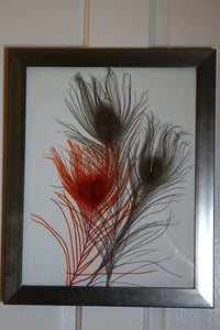 Colorful Framed Feathers Wall Art